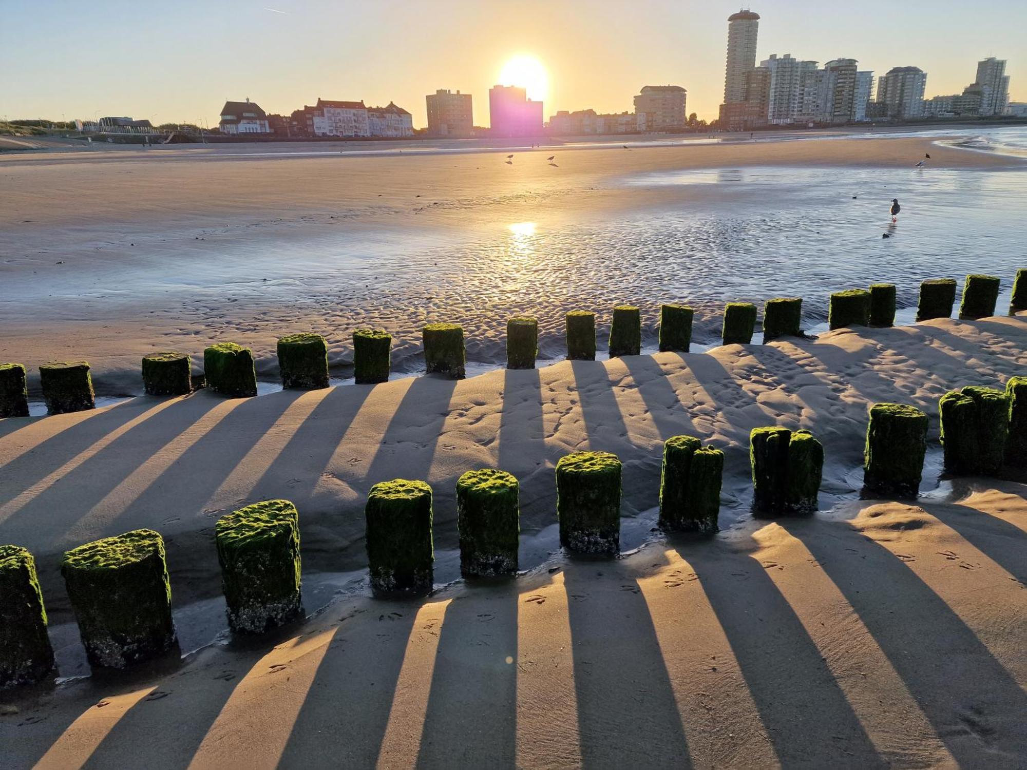 B&B Van Zon Aan Zee Vlissingen Dış mekan fotoğraf